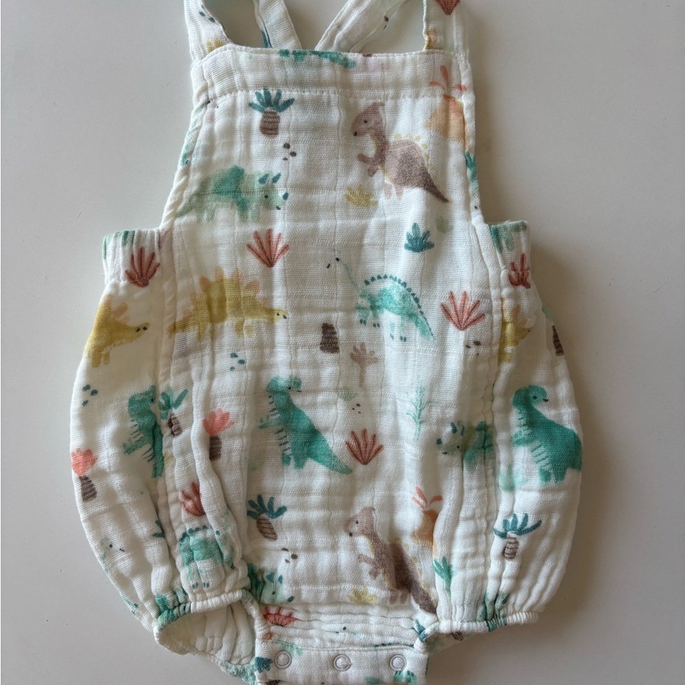 Dinosaur Print Baby Romper